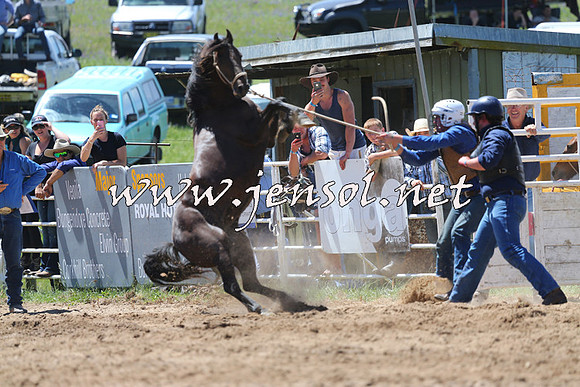 BungendoreRodeo2014_1491