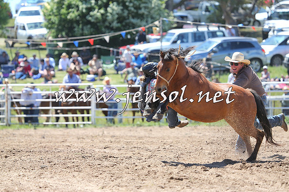 BungendoreRodeo2014_1524