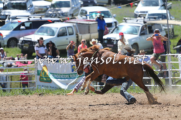 BungendoreRodeo2014_1566