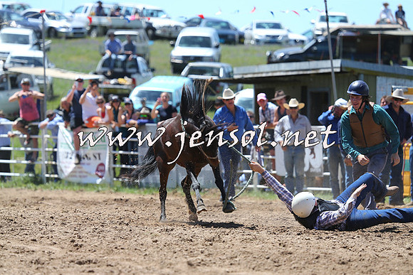BungendoreRodeo2014_1478