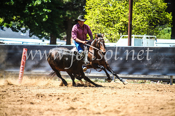 OrangeCampdraftSun_8494