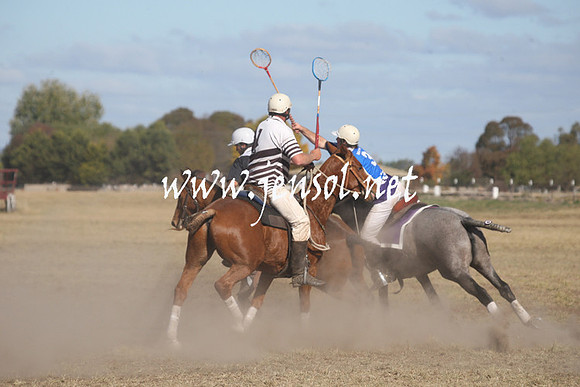 BungendorePolocrosse2013_Sun_2047
