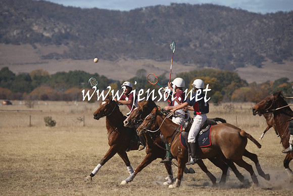 BungendorePolocrosse2013_Sun_1821