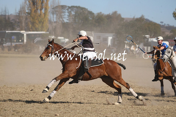 BungendorePolocrosse2013_Sun_1997