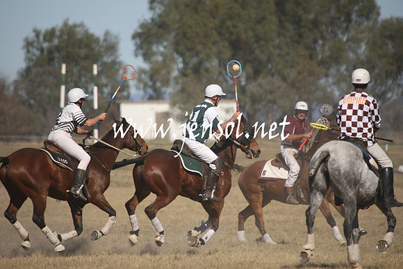 BungendorePolocrosse2013_Sun_1827