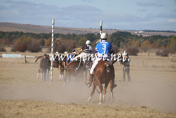 BungendorePolocrosse2013_Sun_1972