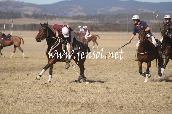 BungendorePolocrosse2013_Sun_1847