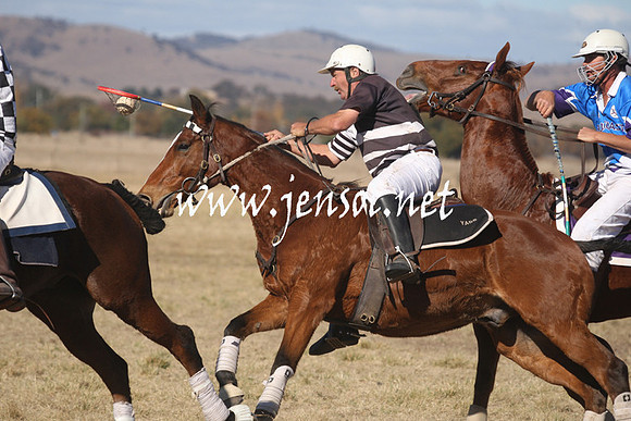 BungendorePolocrosse2013_Sun_1989