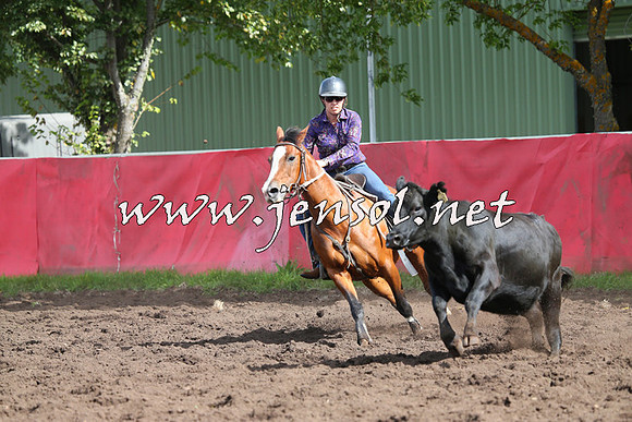 NimmitabelCampdraft2015_0499