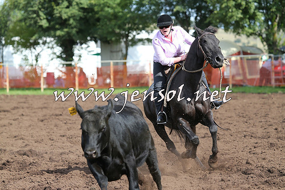 NimmitabelCampdraft2015_0596