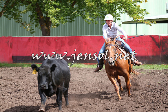 NimmitabelCampdraft2015_0347