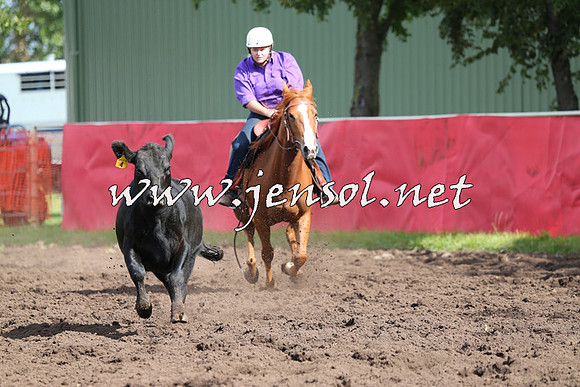 NimmitabelCampdraft2015_0557
