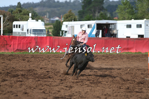 NimmitabelCampdraft2015_0649