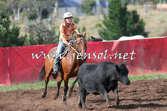 NimmitabelCampdraft2015_0587