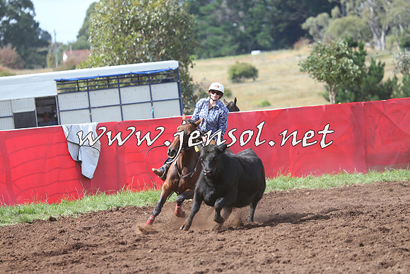NimmitabelCampdraft2015_0444