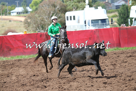 NimmitabelCampdraft2015_0389