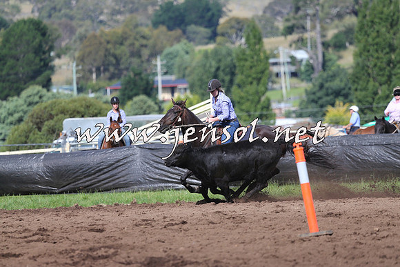 NimmitabelCampdraft2015_0617