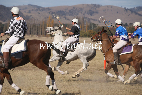 BungendorePolocrosse2013_Sun_1952