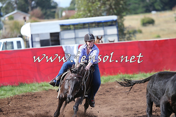 NimmitabelCampdraft2015_0604