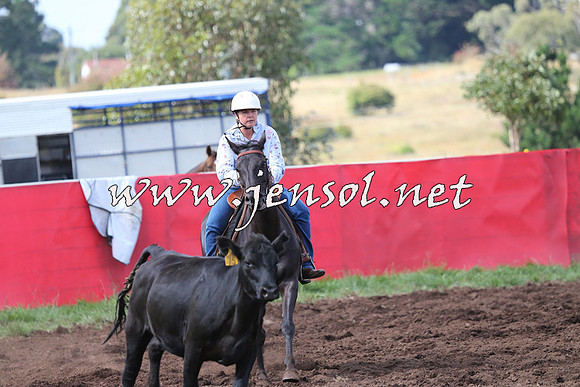 NimmitabelCampdraft2015_0465