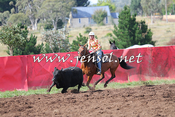 NimmitabelCampdraft2015_0580