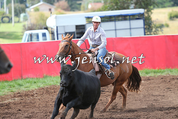 NimmitabelCampdraft2015_0343