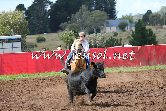 NimmitabelCampdraft2015_0375
