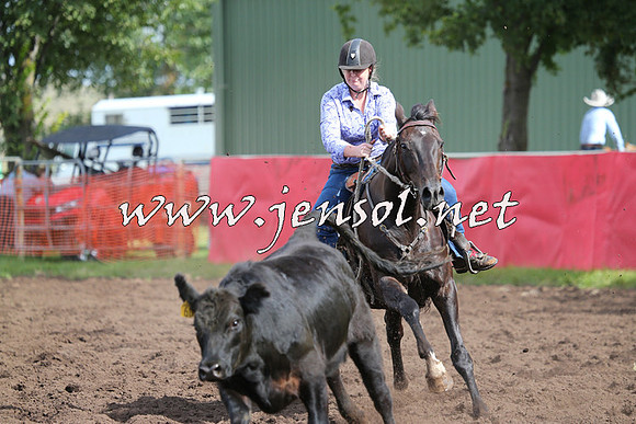 NimmitabelCampdraft2015_0610