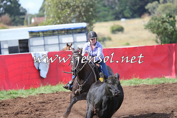 NimmitabelCampdraft2015_0600