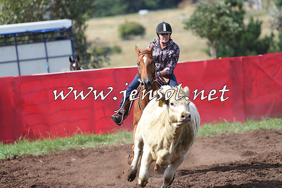 NimmitabelCampdraft2015_0457
