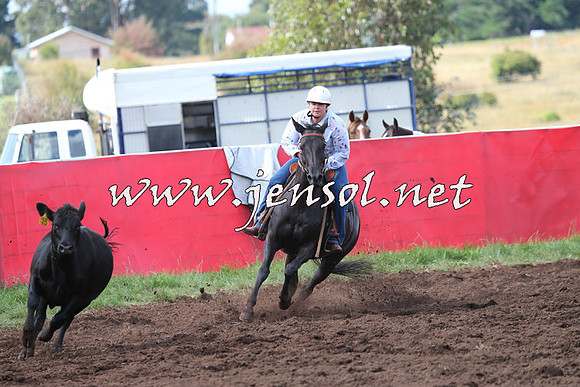 NimmitabelCampdraft2015_0467