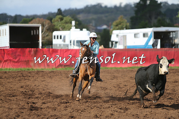 NimmitabelCampdraft2015_0622