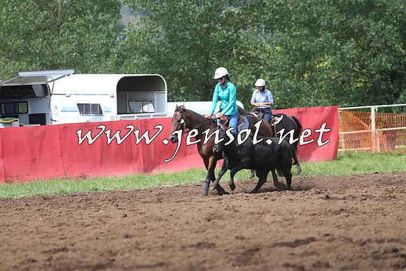 NimmitabelCampdraft2015_0338