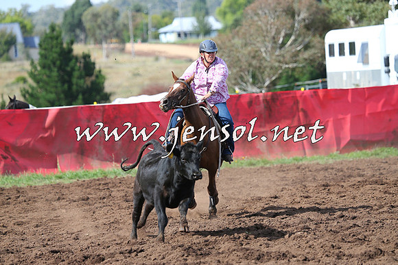 NimmitabelCampdraft2015_0565