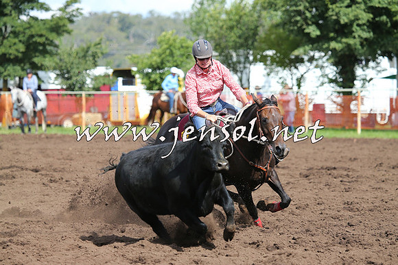 NimmitabelCampdraft2015_0424