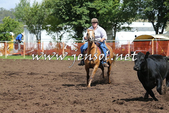 NimmitabelCampdraft2015_0382