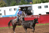 NimmitabelCampdraft2015_0328
