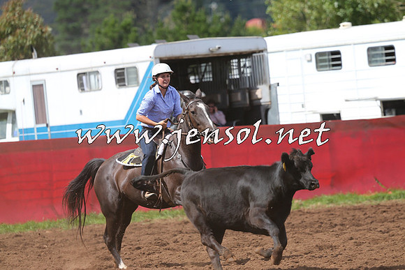 NimmitabelCampdraft2015_0328