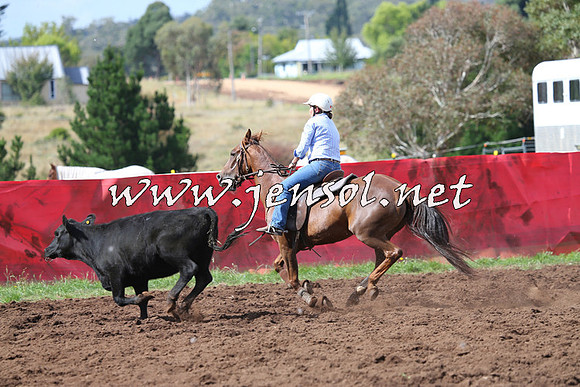 NimmitabelCampdraft2015_0396