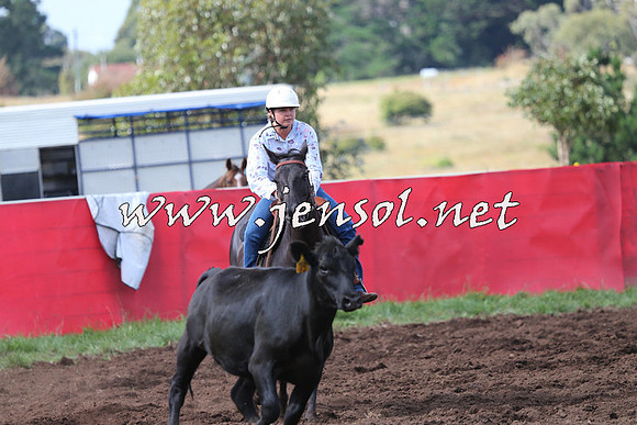 NimmitabelCampdraft2015_0463