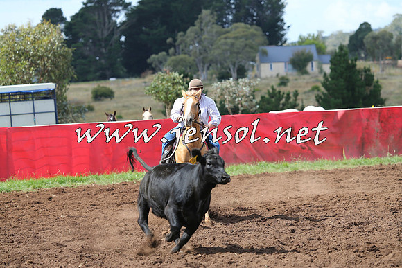 NimmitabelCampdraft2015_0374