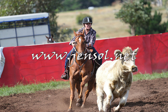NimmitabelCampdraft2015_0454