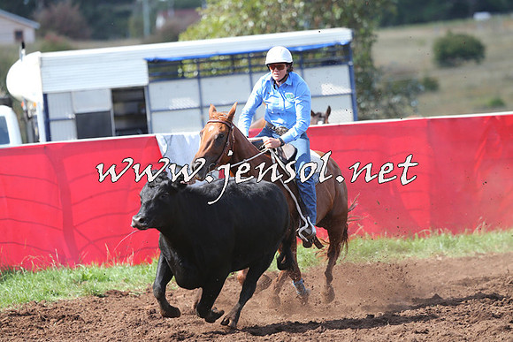 NimmitabelCampdraft2015_0511