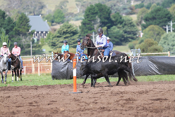 NimmitabelCampdraft2015_0615