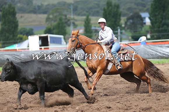 NimmitabelCampdraft2015_0352
