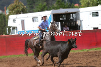 NimmitabelCampdraft2015_0327