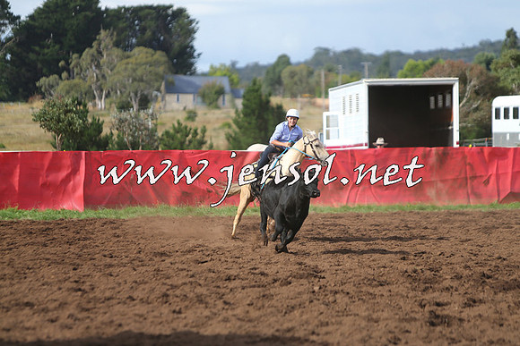 NimmitabelCampdraft2015_0660
