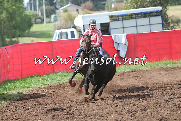NimmitabelCampdraft2015_0410