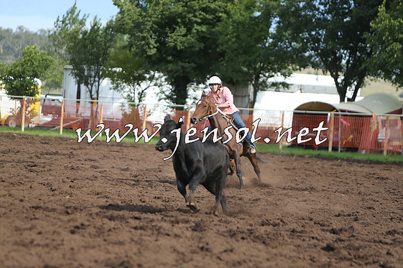 NimmitabelCampdraft2015_0656