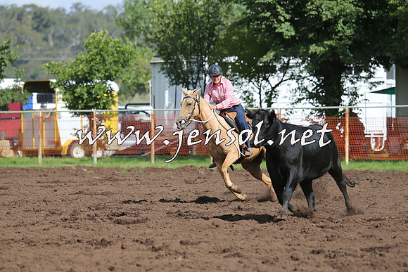 NimmitabelCampdraft2015_0551